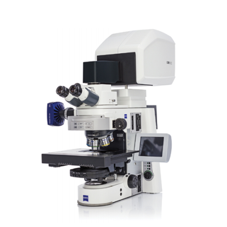 蔡司共聚焦显微镜LSM-900
