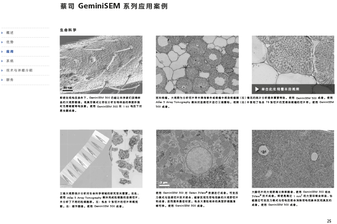 CN_40_011_095_GeminiSEM_rel_3_1-25